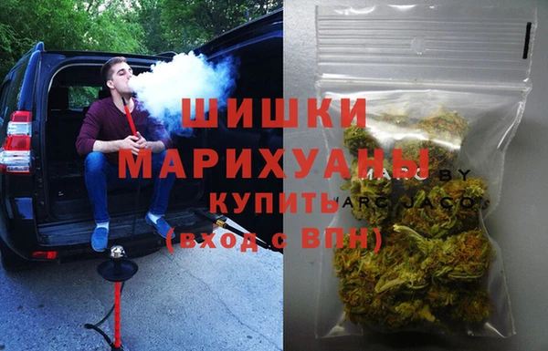 индика Балахна
