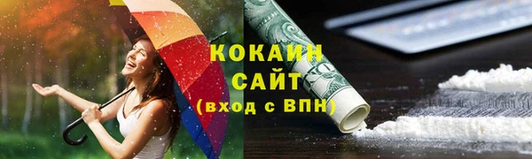 индика Балахна