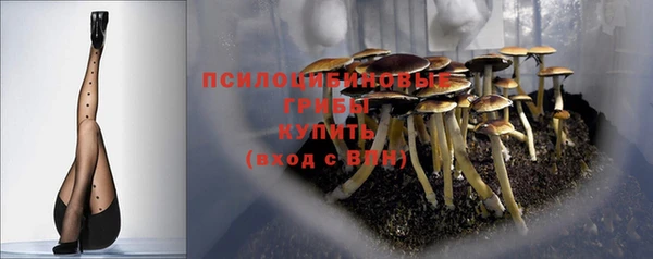 индика Балахна