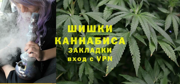 индика Балахна