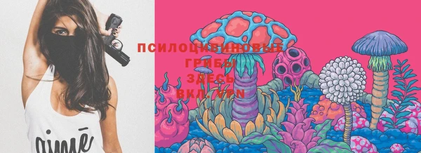 индика Балахна