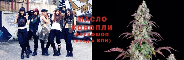 индика Балахна